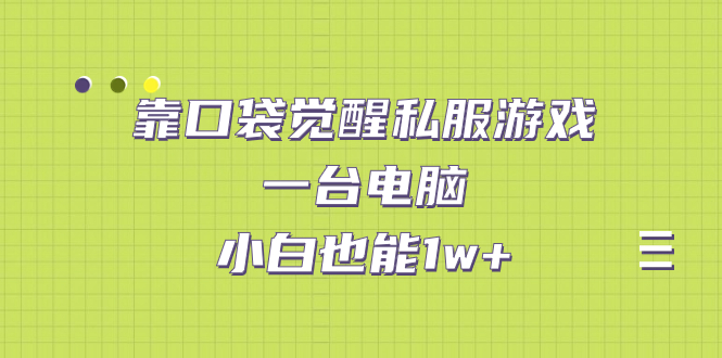 靠口袋觉醒私服游戏，一台电脑，小白也能1w+（教程+工具+资料）-副业网创