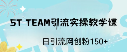 ST TEAM引流实操课，日引流网创粉100+-副业网创
