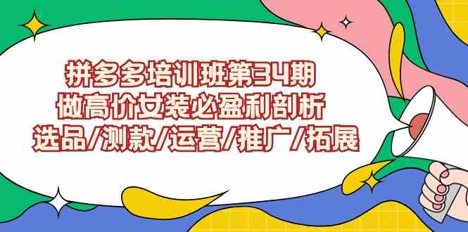 （9333期）拼多多培训班第34期：做高价女装必盈利剖析  选品/测款/运营/推广/拓展-副业网创