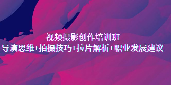 视频摄影创作培训班，导演思维+拍摄技巧+拉片解析+职业发展建议-副业网创