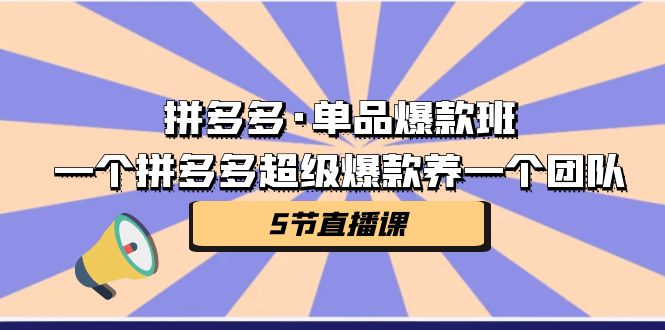 拼多多·单品爆款班，一个拼多多超级爆款养一个团队（5节直播课）-副业网创