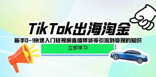 TikTok出海淘金，新手0-1快速入门短视频直播带货等引流到变现的知识-副业网创