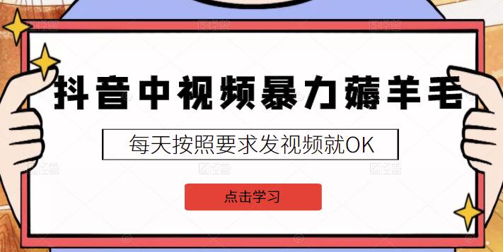 2022抖音中视频暴力薅羊毛白嫖项目：新号每天20块，老号几天几百块，可多号￼-副业网创