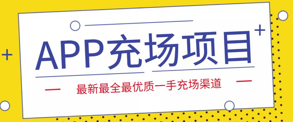 外面收费9800的APP充场项目，实操一天收入800+个人和工作室都可以做-副业网创
