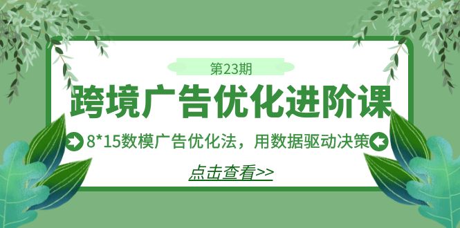 跨境广告·优化进阶课·第23期，8*15数模广告优化法，用数据驱动决策-副业网创