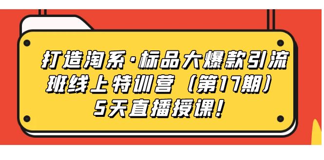 打造淘系·标品大爆款引流班线上特训营（第17期）5天直播授课！-副业网创