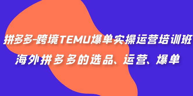 拼多多-跨境TEMU爆单实操运营培训班，海外拼多多的选品、运营、爆单-副业网创