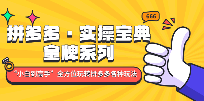 拼多多·实操宝典：金牌系列“小白到高手”带你全方位玩转拼多多各种玩法-副业网创