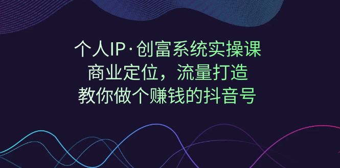个人IP·创富系统实操课：商业定位，流量打造，教你做个赚钱的抖音号-副业网创