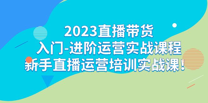 2023直播带货入门-进阶运营实战课程：新手直播运营培训实战课！-副业网创