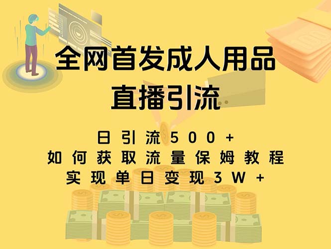 最新全网独创首发，成人用品直播引流获客暴力玩法，单日变现3w保姆级教程-副业网创