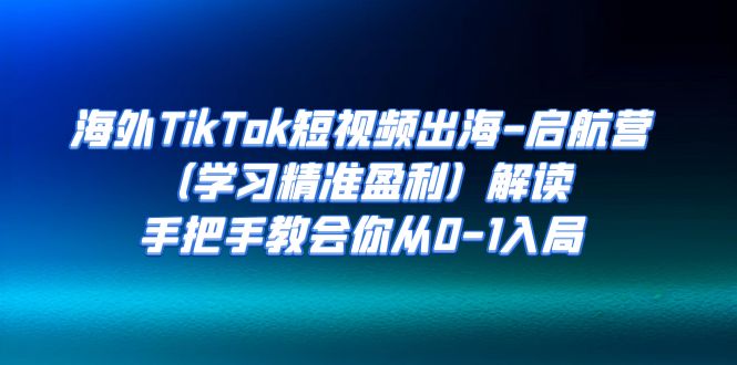 海外TikTok短视频出海-启航营（学习精准盈利）解读，手把手教会你从0-1入局-副业网创