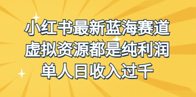 外面收费1980的小红书最新蓝海赛道，虚拟资源都是纯利润，单人日收入过千-副业网创