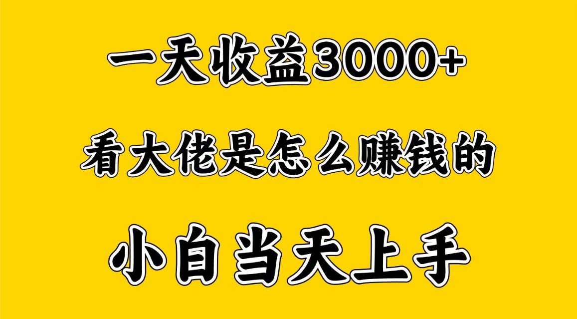 一天赚3000多，大佬是这样赚到钱的，小白当天上手，穷人翻身项目-副业网创