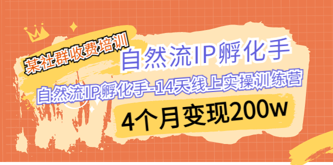 某社群收费培训：自然流IP 孵化手-14天线上实操训练营 4个月变现200w-副业网创