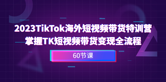 2023-TikTok海外短视频带货特训营，掌握TK短视频带货变现全流程（60节课）-副业网创