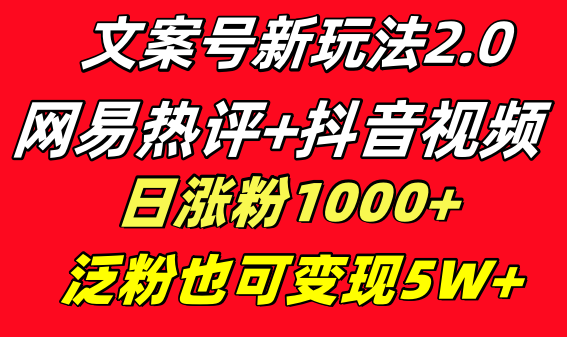 文案号新玩法 网易热评+抖音文案 一天涨粉1000+ 多种变现模式 泛粉也可变现-副业网创