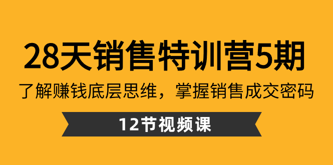 28天·销售特训营5期：了解赚钱底层思维，掌握销售成交密码（12节课）-副业网创