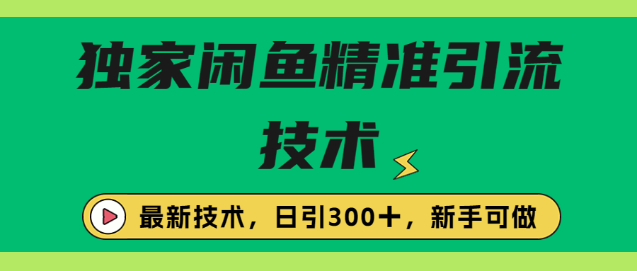 独家闲鱼引流技术，日引300＋实战玩法-副业网创