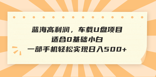 蓝海高利润，车载U盘项目，适合0基础小白，一部手机轻松实现日入500+-副业网创