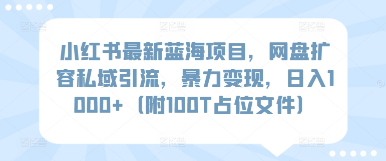 小红书最新蓝海项目，网盘扩容私域引流，暴力变现，日入1000+（附100T占位文件）-副业网创