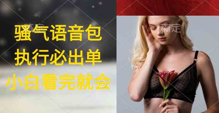 （9589期）执行就出单，日入2000+，超火骚气语音包，小白看完课程就能马上实操-副业网创