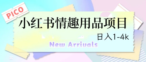 最新小红书情趣用品项目，日入1-4k-副业网创