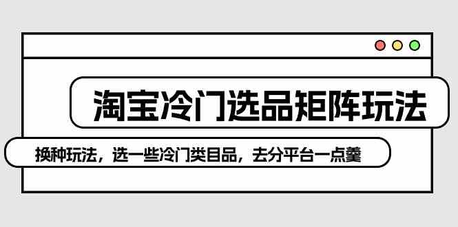 （10159期）淘宝冷门选品矩阵玩法：换种玩法，选一些冷门类目品，去分平台一点羹-副业网创