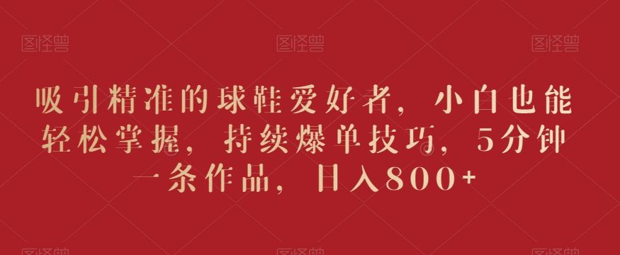 吸引精准的球鞋爱好者，小白也能轻松掌握，持续爆单技巧，5分钟一条作品，日入800+【揭秘】-副业网创