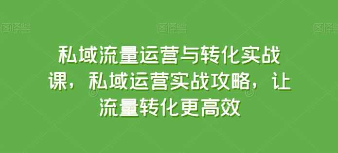私域流量运营与转化实战课，私域运营实战攻略，让流量转化更高效-副业网创