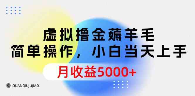 （9864期）虚拟撸金薅羊毛，简单操作，小白当天上手，月收益5000+-副业网创