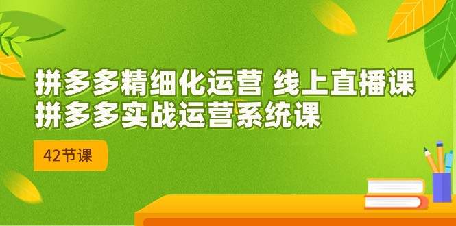 拼多多精细化运营 线上直播课：拼多多实战运营系统课（更新47节）-副业网创