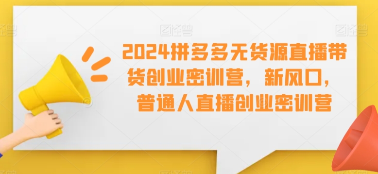 2024拼多多无货源直播带货创业密训营，新风口，普通人直播创业密训营-副业网创