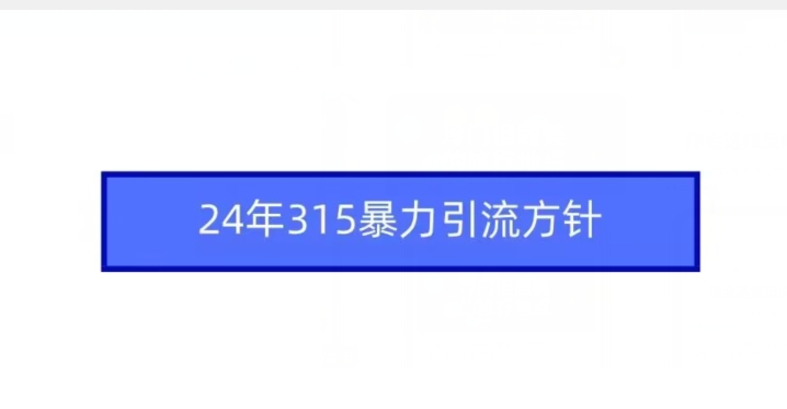 24年315暴力引流方针-副业网创