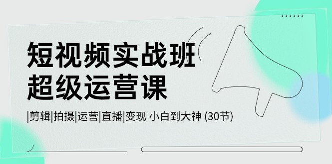 短视频实战班超级运营课 |剪辑|拍摄|运营|直播|变现 小白到大神 (30节)-副业网创