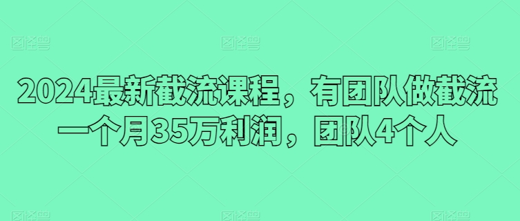 2024最新截流课程，有团队做截流一个月35万利润，团队4个人-副业网创