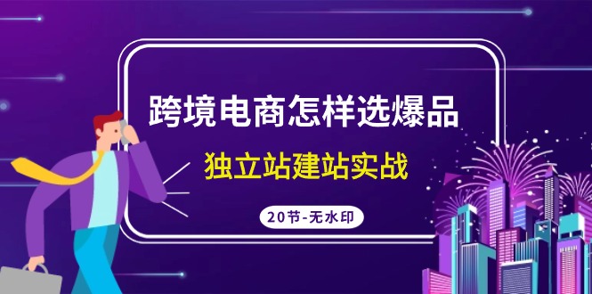 跨境电商怎样选爆品，独立站建站实战（20节高清课）-副业网创