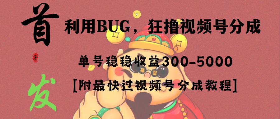 全网独家首发，视频号BUG，超短期项目，单号每日净收益300-5000！-副业网创