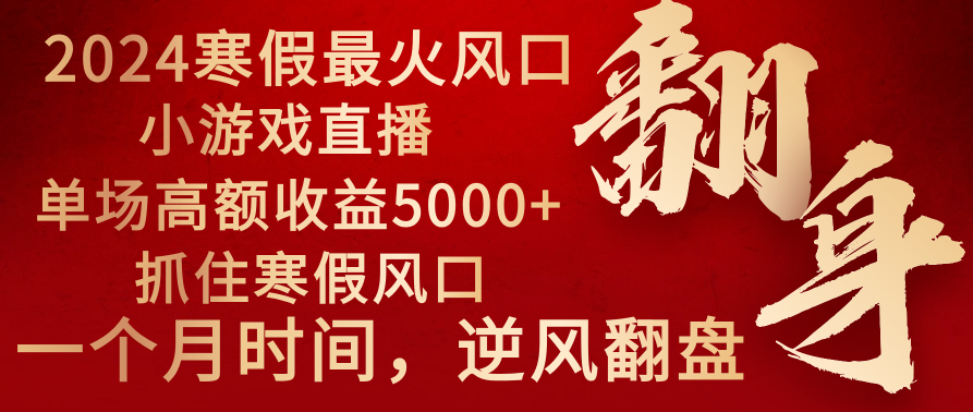 2024年最火寒假风口项目 小游戏直播 单场收益5000+抓住风口 一个月直接提车-副业网创