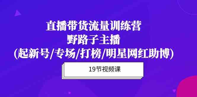 （10016期）直播带货流量特训营，野路子主播(起新号/专场/打榜/明星网红助博)19节课-副业网创