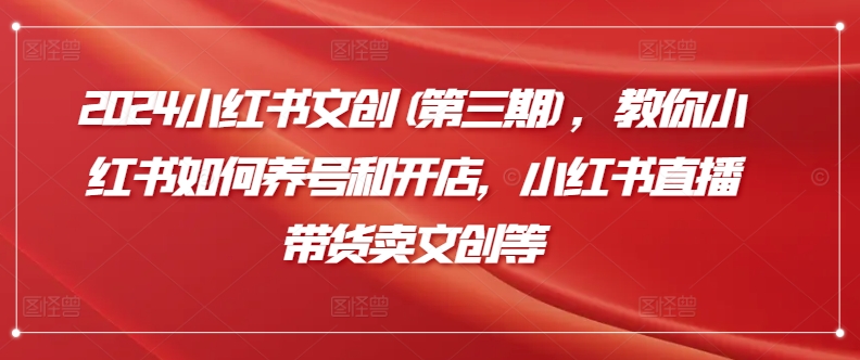 2024小红书文创(第三期)，教你小红书如何养号和开店，小红书直播带货卖文创等-副业网创