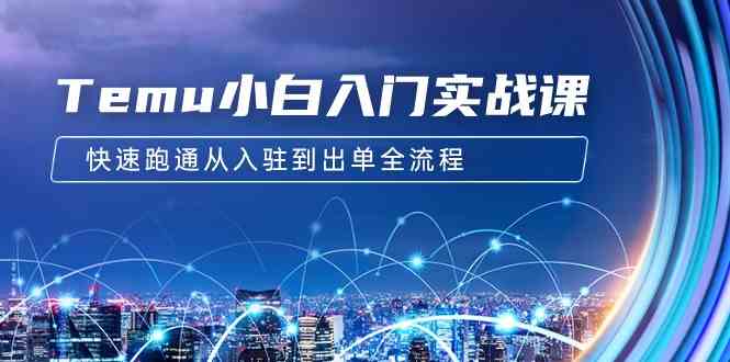 （9295期）Temu小白入门实战课：跨境拼多多电商培训 快速跑通从入驻到出单全流程-12节-副业网创