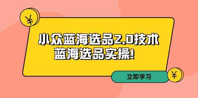 （9189期）拼多多培训第33期：小众蓝海选品2.0技术-蓝海选品实操！-副业网创