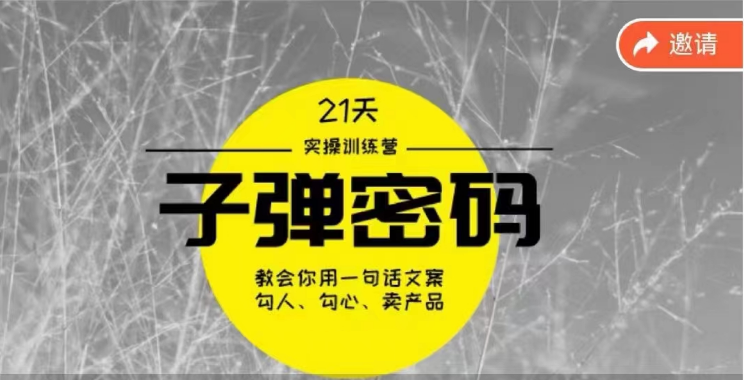 《子弹密码训练营》用一句话文案勾人勾心卖产品，21天学到顶尖文案大师策略和技巧-副业网创