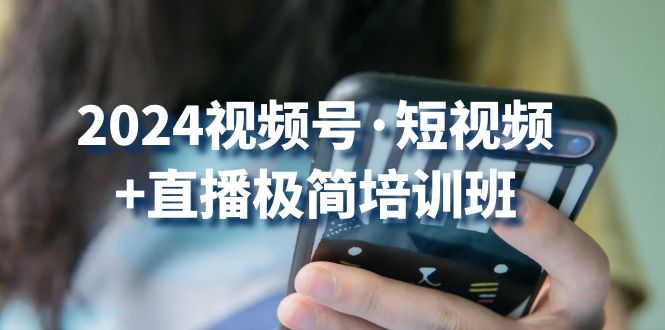 2024视频号短视频+直播极简培训班：抓住视频号风口，流量红利-副业网创