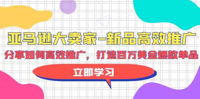 （9945期）亚马逊 大卖家-新品高效推广，分享如何高效推广，打造百万美金爆款单品-副业网创