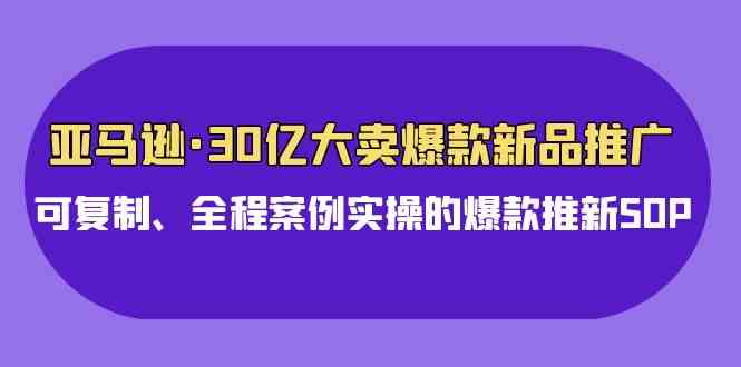 （9944期）亚马逊30亿·大卖爆款新品推广，可复制、全程案例实操的爆款推新SOP-副业网创
