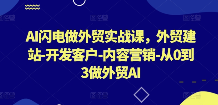 AI闪电做外贸实战课，​外贸建站-开发客户-内容营销-从0到3做外贸AI-副业网创
