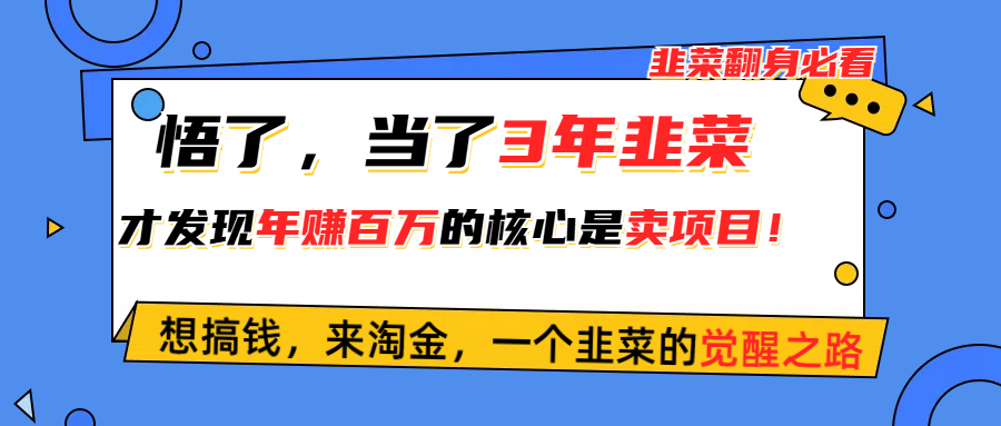（10759期）悟了，当了3年韭菜，才发现网赚圈年赚100万的核心是卖项目，含泪分享！-副业网创