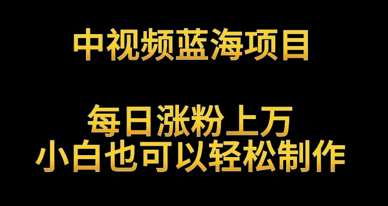 中视频蓝海项目，解读英雄人物生平，每日涨粉上万，小白也可以轻松制作，月入过万不是梦-副业网创